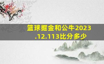 篮球掘金和公牛2023.12.113比分多少