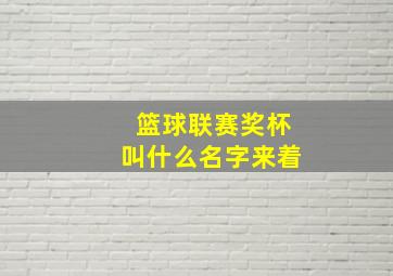 篮球联赛奖杯叫什么名字来着