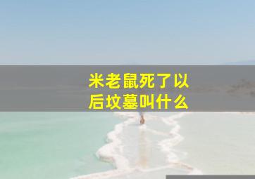 米老鼠死了以后坟墓叫什么