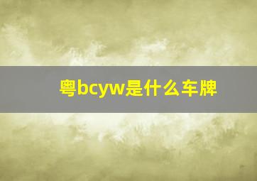 粤bcyw是什么车牌