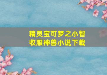 精灵宝可梦之小智收服神兽小说下载