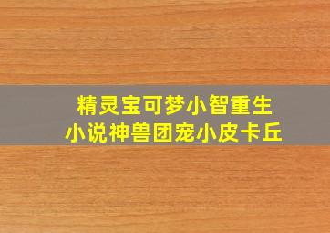 精灵宝可梦小智重生小说神兽团宠小皮卡丘