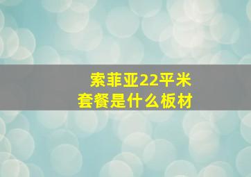 索菲亚22平米套餐是什么板材