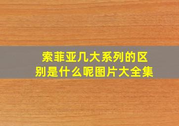 索菲亚几大系列的区别是什么呢图片大全集