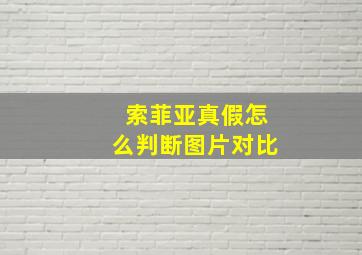 索菲亚真假怎么判断图片对比