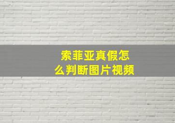 索菲亚真假怎么判断图片视频