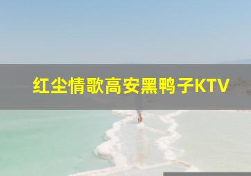 红尘情歌高安黑鸭子KTV