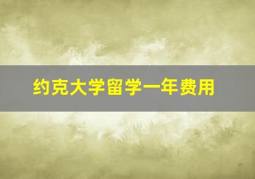 约克大学留学一年费用