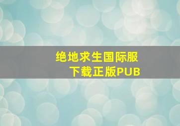 绝地求生国际服下载正版PUB