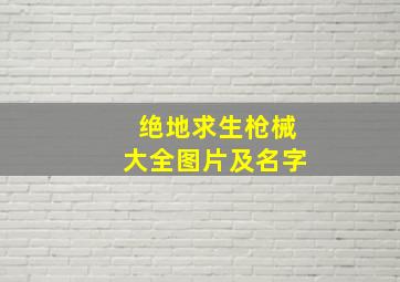 绝地求生枪械大全图片及名字