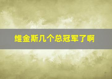 维金斯几个总冠军了啊