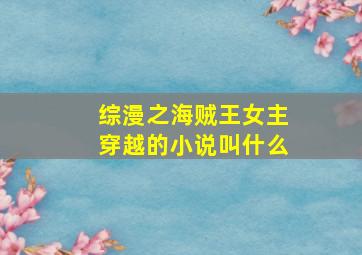 综漫之海贼王女主穿越的小说叫什么