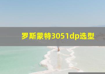 罗斯蒙特3051dp选型