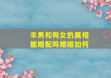 羊男和狗女的属相能婚配吗婚姻如何