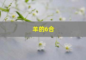 羊的6合