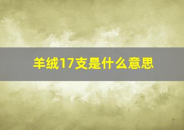 羊绒17支是什么意思