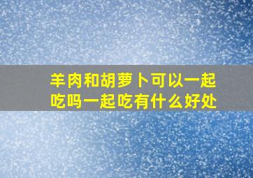 羊肉和胡萝卜可以一起吃吗一起吃有什么好处