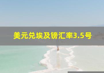 美元兑埃及镑汇率3.5号