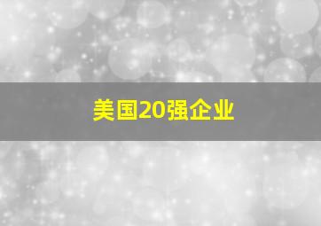 美国20强企业