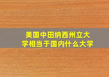 美国中田纳西州立大学相当于国内什么大学