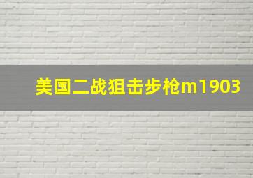 美国二战狙击步枪m1903