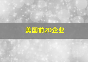 美国前20企业