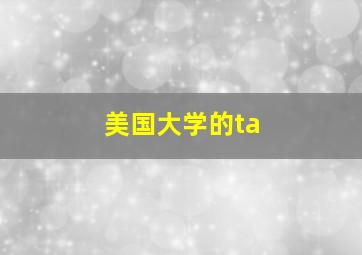 美国大学的ta