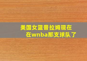 美国女篮普拉姆现在在wnba那支球队了