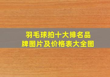 羽毛球拍十大排名品牌图片及价格表大全图