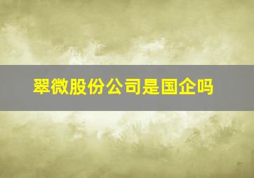 翠微股份公司是国企吗