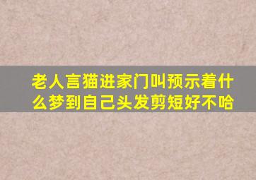 老人言猫进家门叫预示着什么梦到自己头发剪短好不哈