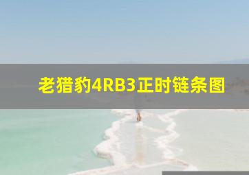 老猎豹4RB3正时链条图