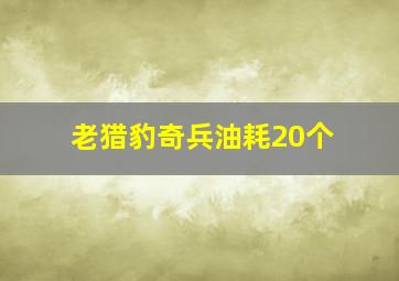 老猎豹奇兵油耗20个