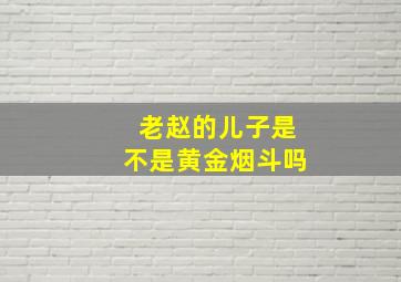 老赵的儿子是不是黄金烟斗吗