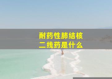 耐药性肺结核二线药是什么