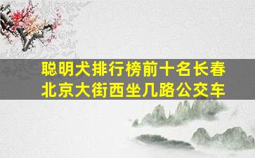 聪明犬排行榜前十名长春北京大街西坐几路公交车