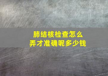 肺结核检查怎么弄才准确呢多少钱