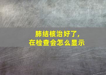 肺结核治好了,在检查会怎么显示