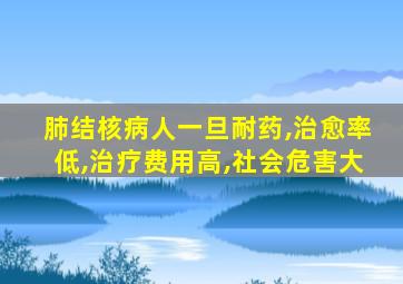 肺结核病人一旦耐药,治愈率低,治疗费用高,社会危害大