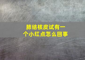 肺结核皮试有一个小红点怎么回事