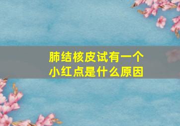 肺结核皮试有一个小红点是什么原因