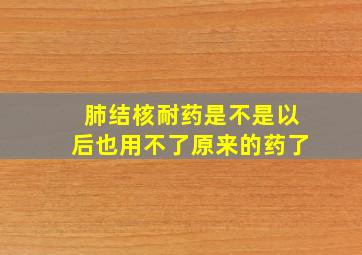 肺结核耐药是不是以后也用不了原来的药了