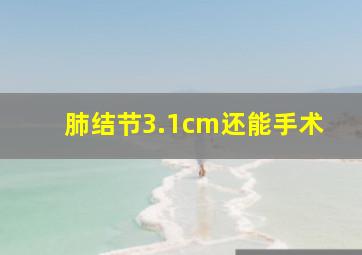 肺结节3.1cm还能手术