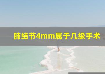 肺结节4mm属于几级手术