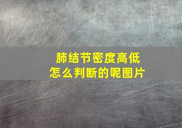 肺结节密度高低怎么判断的呢图片