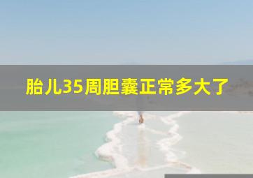 胎儿35周胆囊正常多大了