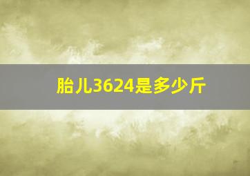 胎儿3624是多少斤