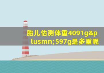 胎儿估测体重4091g±597g是多重呢