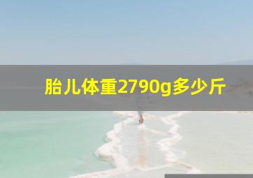 胎儿体重2790g多少斤