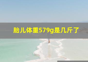 胎儿体重579g是几斤了